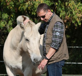 Pferdegestütztes Einzelcoaching